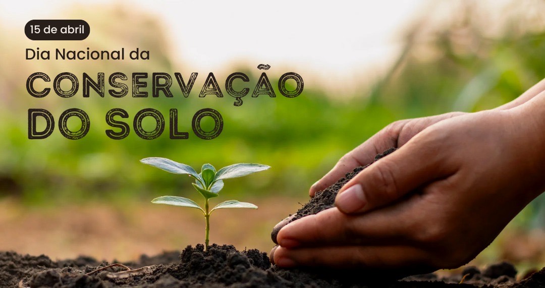 Natureza e campo